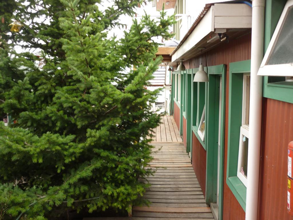 Hostel Los Cormoranes Ushuaia Buitenkant foto